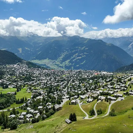 Rousserolles Rez